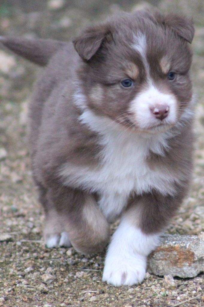 Pow river road Good Spotted Paradise